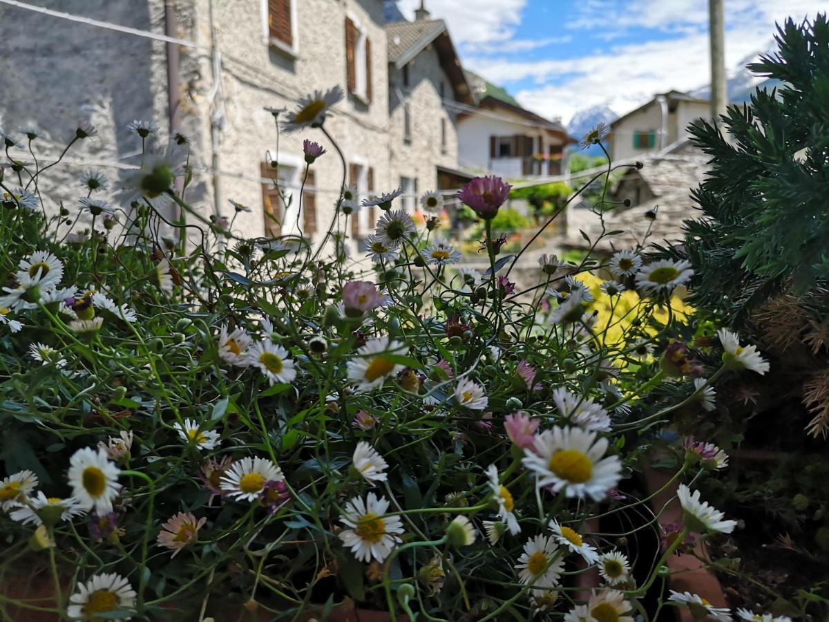 San Carlo Apartamento