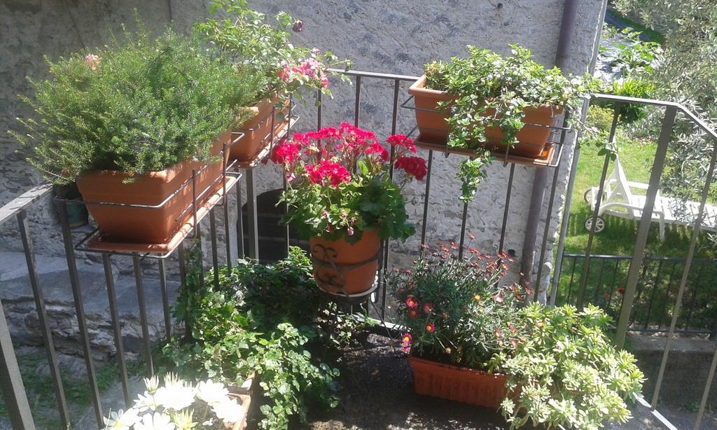 Apartment San Carlo Chiavenna