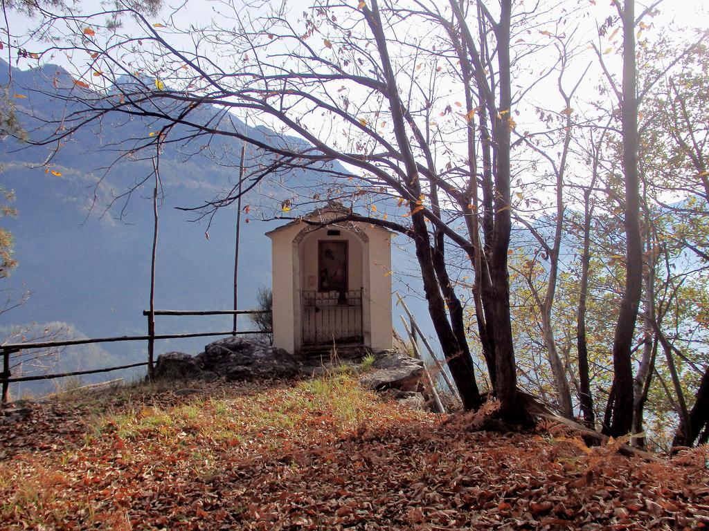 Apartment San Carlo